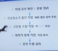 빈대유무확인
